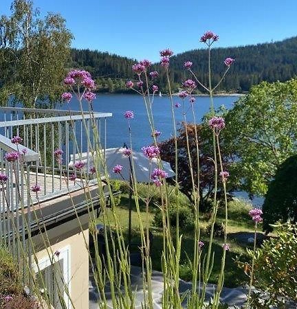 Schluchsee, Villa Seepark Eksteriør billede